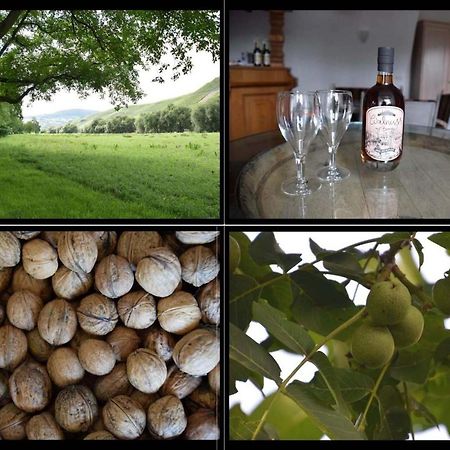 The Old Gemeinde House By The Mosel River เบราเนอแบร์ก ภายนอก รูปภาพ