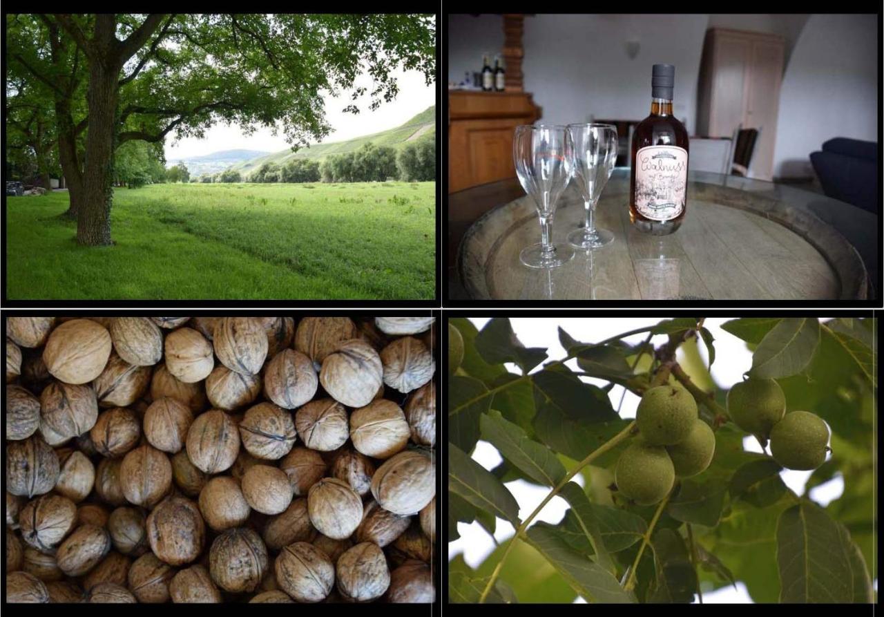 The Old Gemeinde House By The Mosel River เบราเนอแบร์ก ภายนอก รูปภาพ